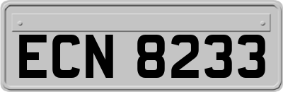 ECN8233