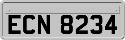 ECN8234