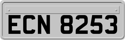 ECN8253