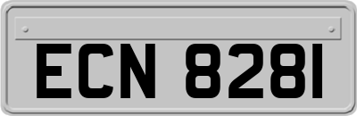 ECN8281
