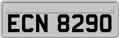 ECN8290