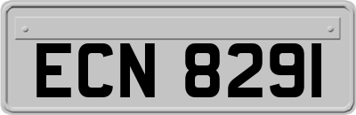 ECN8291