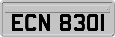 ECN8301