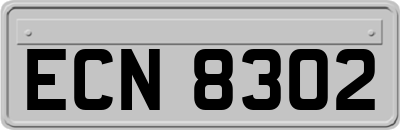 ECN8302