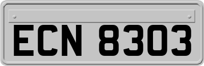 ECN8303