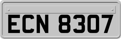 ECN8307