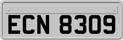 ECN8309