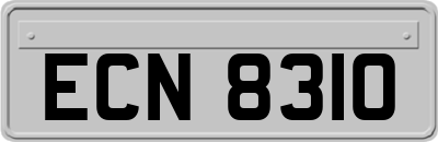 ECN8310