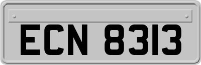 ECN8313