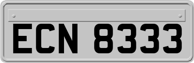 ECN8333