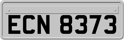 ECN8373