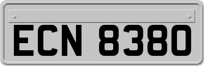 ECN8380