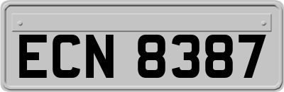 ECN8387