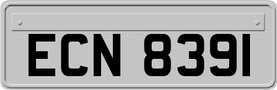 ECN8391
