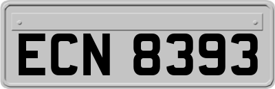 ECN8393