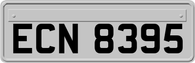 ECN8395