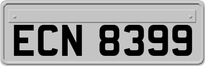 ECN8399
