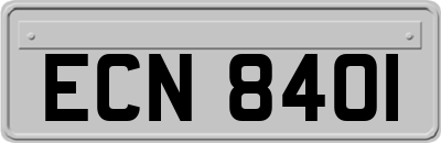 ECN8401