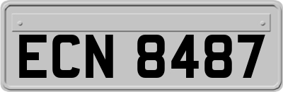 ECN8487
