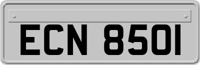 ECN8501