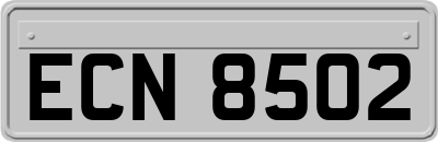 ECN8502