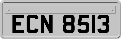 ECN8513