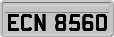 ECN8560