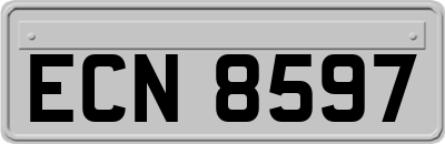 ECN8597