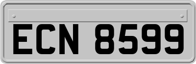 ECN8599