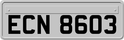 ECN8603