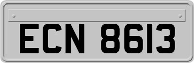 ECN8613