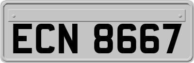 ECN8667