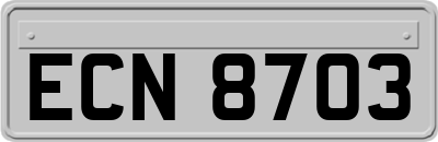 ECN8703