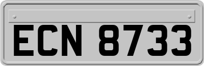 ECN8733