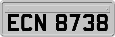 ECN8738