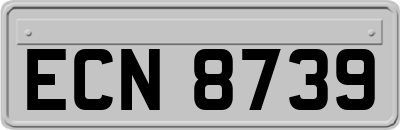 ECN8739