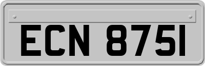 ECN8751