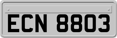 ECN8803