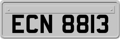 ECN8813