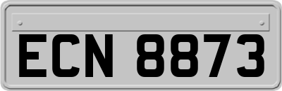ECN8873