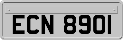 ECN8901