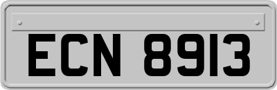 ECN8913