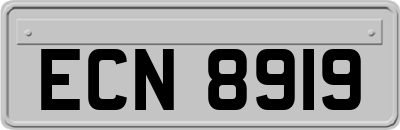 ECN8919