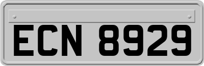 ECN8929