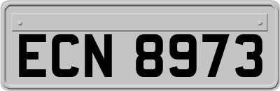 ECN8973