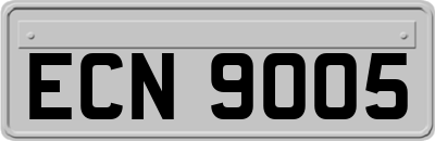 ECN9005