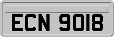 ECN9018
