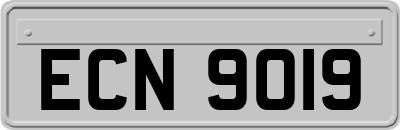 ECN9019