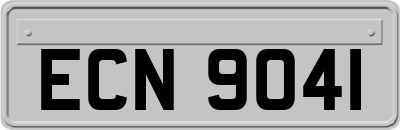 ECN9041