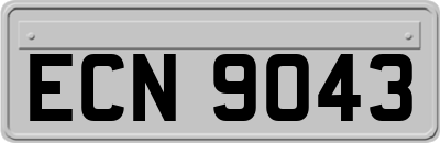 ECN9043